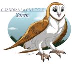 ambiguous_gender avian barn_owl bird black_eyes brown_body brown_feathers feathers feet feral guardians_of_ga&#039;hoole ignigeno male_(lore) owl simple_background solo soren_(gogh) talons toes tyto tytonid white_background white_body white_feathers