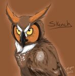  2012 ambiguous_gender avian bird brown_background brown_body brown_feathers feathers female_(lore) feral great_horned_owl guardians_of_ga&#039;hoole horned_owl ignigeno owl simple_background skench_(gogh) solo true_owl yellow_eyes 