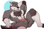  abs anthro armpit_hair athletic athletic_male ball_tuft balls blue_eyes blush body_hair broad_shoulders bulge butt canid canine canis chest_tuft erection flexing fluffy fluffy_tail genitals half-erect hand_behind_head hi_res humanoid_genitalia humanoid_penis kyash-tyur male mammal mephepron muscular muscular_male nude pecs penis pubes raised_leg simple_background sitting sitting_on_ground solo tail thick_thighs tuft wolf 