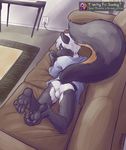  achievement anthro briefs bulge butt claws clothing cute english_text foot_focus gamepad hair hindpaw legs_up living_room lying male mammal mustelid on_front pawpads paws skunk sofa soles solo text toes underwear unimpressive 
