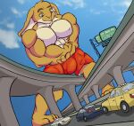 2020 4_toes abs anthro biceps big_bulge big_muscles biped bulge car claws commercial_vehicle digital_drawing_(artwork) digital_media_(artwork) domestic_rabbit english_text feet flemish_giant flexing_muscles green_eyes hi_res highway lagomorph leporid low-angle_view macro male mammal muscular muscular_anthro muscular_male oryctolagus paws pecs plantigrade pose rabbit sign smile snippythedeliveryfox solo swimming_trunks_only syrup_(druss666uk) taxicab text toe_claws toes traffic vehicle
