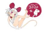  1girl 2020 :&lt; animal_ears barefoot cheese chinese_zodiac commentary_request disgaea eating fake_animal_ears flat_chest food full_body harada_takehito leotard looking_at_viewer mouse_(animal) mouse_ears mouse_tail original pleinair red_eyes short_hair sketch solo tail white_hair white_leotard year_of_the_rat 