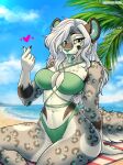  absurd_res anthro beach big_breasts bikini bikini_bottom bikini_top blue_eyes blue_tongue body_hair breasts claws cleavage clothed clothing detailed_background facial_markings facial_tuft fangs felid feline female finger_claws fingers fur grey_body grey_fur hair head_markings heart_symbol hi_res humanoid_hands leopard_spots long_hair looking_at_viewer mammal markings multicolored_body multicolored_fur navel nikita_(asf) nliiz open_mouth open_smile outside pantherine saber-toothed_tiger sabertooth_(anatomy) sand sea sitting smile smilodon snow_leopard soft_abs solo spots swimwear teeth thick_thighs tongue tongue_out towel tuft two_tone_body two_tone_fur water white_body white_fur white_hair 