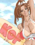  absurdres adapted_costume breasts brown_hair cleavage fatal_fury highres large_breasts lips shiranui_mai solo surfboard the_king_of_fighters 