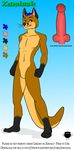  canine fox hybrid knot male mustelid otter penis whiskers yiffy_foxy zhivagod 