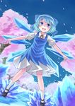  bad_id bad_pixiv_id blue_eyes blue_hair bow cherry_blossoms cirno dress hair_bow highres ice ice_wings kino_(kino_buro) open_mouth outstretched_arms petals short_hair solo touhou wings 