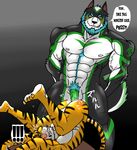  abs anal anal_penetration anthro anus aydenwusky balls beard biceps big_muscles black_fur black_nose blue_hair blush body_markings butt canine clenched_teeth cum cum_in_ass cum_inside cum_on_penis cum_string cumshot dog english_text erection facial_hair fangs feline fur gay green_fur green_penis grey_fur grin hair hentist husky interspecies leaking legs_up lying male mammal markings muscles nipples nude on_back orange_fur orgasm pecs penetration penis pink_nose pubes sex sheath smile spread_legs spreading standing stripes table_lotus_position tattoo teeth text tiger toned toragami_gaou vein white_fur white_hair wusky 
