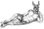  anthro balls blotch donkey equine erection greyscale hair hooves horsecock lying male mammal monochrome nude on_side penis plain_background sketch solo white_background 