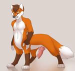  brown_hair canine canine_penis erection fox foxtaur fur hair jailbird knot looking_at_viewer male mammal nude orange_fur penis plain_background solo taur 