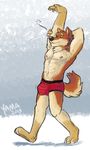  abs anthro biceps boxer-briefs boxer_briefs brown_fur bulge canine eyes_closed flexing fur hyper male mammal mason muscles nipples pecs pose red_bottomwear solo standing stretching tan_fur tired topless underwear walking wolf wolfyama 