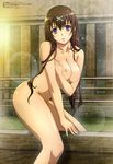  1girl absurdres blush breast_hold breasts brown_hair collarbone female highres hyakka_ryouran_samurai_girls large_breasts legs lens_flare long_hair looking_at_viewer megami nipples nude nude_filter parted_lips photoshop purple_eyes solo standing thighs tokugawa_sen wet 