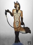  balls barefoot black_eyes black_nose black_skin blue_eyes body_hair brown_fur brown_hair canine chest_hair chest_tuft claws collar digitigrade fist fox front fur gloves_(marking) gradient_background grasp grey_background hair hindpaw holding izzywolfram knot knot_in_sheath leash licking licking_lips looking_at_viewer male mammal maned_wolf markings multicolor_fur muscles navel nude orange_fur paws pecs penis penis_tip pink_penis plain_background raised_arm rape_face seductive sharp_teeth sheath short_hair socks_(marking) solo standing teeth texture_background toes tongue tongue_out tsaiwolf tuft two_tone_fur white_background white_fur 