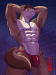 abs absurd_res anthro arm_tattoo bathing blue_eyes bulge cain_the_dingo canid canine canis clothing dingo dripping foxstardraws genitals hands_behind_head hi_res logo looking_at_viewer male male/male mammal muscular muscular_anthro muscular_male penis presenting red_clothing shower showering smile smiling_at_viewer solo speedo swimwear tattoo wet wet_body