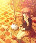  autumn bad_id bad_pixiv_id bench brown_hair cat copyright_request food glasses leaf long_hair scarf school_uniform sitting solo sweet_potato yakiimo zenn 