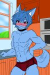 2024 abs anthro athletic athletic_anthro athletic_male biceps blue_body blue_fur blue_hair blush bulge canid canine clothed clothing collar fokkuzu fox foxy_(vtuber) fur hair inside looking_at_viewer male mammal navel red_eyes smile solo topless topless_anthro topless_male underwear underwear_only white_inner_ear