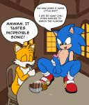 anthro canid canine duo eating_feces eulipotyphlan feces fox hedgehog hi_res lordcuckness male male/male mammal miles_prower scat sega sonic_the_hedgehog sonic_the_hedgehog_(series)