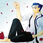  akiha_(ominaeshi) fate/stay_night fate_(series) flower lancer low_ponytail male_focus petals red_flower red_rose rose rose_petals solo source_request undone_tie 