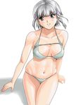  bikini seolla_schweizer shiny shiny_skin shu-z silver_hair simple_background solo super_robot_wars swimsuit 