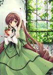  brown_hair dress food frills fruit hairband heterochromia hinooka_shuuji leaf long_hair petals rozen_maiden solo strawberry suiseiseki very_long_hair window 