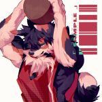 anthro ball basketball_(ball) black_body black_fur brown_body brown_fur canid canine canis clothing domestic_dog fur hair hi_res looking_at_viewer male mammal multicolored_body multicolored_fur muscular muscular_anthro muscular_male nazume4 red_eyes shirt smile solo standing tail tank_top teeth topwear white_body white_fur