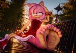 3d_(artwork) 5_toes 699mha amy_rose anthro barefoot bench bodily_fluids clothed clothing digital_media_(artwork) feet female foot_fetish foot_focus hi_res humanoid_feet outside park plantigrade sega soles solo sonic_the_hedgehog_(series) sweat sweaty_feet toes