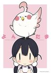  animal animal_on_head bird bird_on_head black_hair blush copyright_name dera_mochimazzui food hair_ornament kitashirakawa_tamako kohinata_sora long_hair mochi on_head smile tamako_market wagashi |_| 