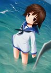  aksman bad_id bad_pixiv_id bird brown_eyes brown_hair clenched_hand dutch_angle looking_at_viewer miyafuji_yoshika seagull short_hair solo standing strike_witches wading water world_witches_series 