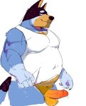 anthro artxtcy australian_cattle_dog balls bandit_heeler barazoku belly biceps big_balls big_muscles big_penis bluey_(series) bodily_fluids bottomless bottomless_anthro bottomless_male canid canine canis cattledog clothed clothing domestic_dog erection eyebrows fur genitals glans herding_dog huge_muscles humanoid_genitalia humanoid_penis male mammal musclegut muscular muscular_anthro muscular_male narrowed_eyes pastoral_dog pecs penis shirt side_view simple_background sketch smile solo standing sweat sweatdrop tank_top thick_thighs topwear tuft white_background