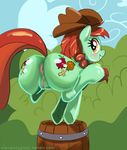  anus barrel big_anus blush butt candy_apple_(mlp) cowboy_hat cutie_mark equine female feral friendship_is_magic hair hat horse ipan looking_back mammal mew_(artist) my_little_pony nude outside pony pussy red_hair sky smile solo yellow_eyes 