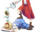  alice_margatroid bad_id bad_pixiv_id boots defeat dress flower flower_on_head frills good_guys_win head_out_of_frame kazami_yuuka michimaru_(michi) multiple_girls plaid sadism short_hair sparkle sulking sunflower touhou watering watering_can wet 