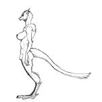  breasts claws digitigrade dragon female fur furred_dragon horn human_being_bizarre human_being_bizarre_(artist) nipples plain_background pubes side_view sketch solo standing white_background 