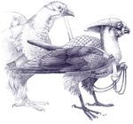  feral harness maggock quail steed wings 