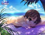  beach bikini braid breasts brown_eyes brown_hair butt_crack cloud dappled_sunlight day glasses highres hoshina_tomoko hozumi_kaoru large_breasts lying ocean on_stomach outdoors sky solo sunlight swimsuit to_heart tree_shade untied water 