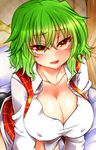  blush breasts cleavage green_hair highres kazami_yuuka large_breasts leaning_forward looking_at_viewer no_bra open_mouth panties red_eyes roki_(hirokix) short_hair solo sweat touhou tsurime underwear 