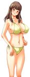  1girl bikini breasts dead_or_alive g_kilo-byte hitomi hitomi_(doa) large_breasts midriff saberfish simple_background solo swimsuit tecmo 