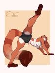 2025 4_toes 5_fingers ailurid anthro border bottomwear breasts brown_body brown_fur brown_hair brown_tail claws clothed clothed_anthro clothed_female clothing countershade_torso countershading digital_media_(artwork) feet female finger_claws fingers fur hair hi_res katfishcom looking_at_viewer looking_back looking_back_at_viewer mammal navel one_leg_up raised_leg rear_view red_panda simple_background solo tail toe_claws toes topwear white_border