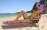  anthro beach biceps black_fur black_nose bloodhound body_markings brown_fur bulge c_a_prod canine claws clothed clothing collar dog eyewear fur glasses grin lying male mammal markings muscles on_back pecs pose reclining sand scooby-doo scooby-doo_(series) sea seaside sitting skimpy smile solo speedo spots swimsuit toe_claws topless watch water wristwatch 