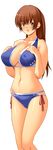  1girl bikini breasts dead_or_alive g_kilo-byte kasumi kasumi_(doa) large_breasts saberfish simple_background solo swimsuit tecmo 