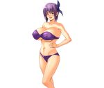  1girl ayane ayane_(doa) bikini breasts dead_or_alive g_kilo-byte large_breasts purple_hair saberfish simple_background smile solo swimsuit tecmo 