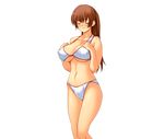  1girl bikini breasts dead_or_alive eyes_closed g_kilo-byte kasumi kasumi_(doa) large_breasts midriff saberfish simple_background solo swimsuit tecmo 