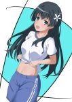 1girl :d black_hair blue_background blue_eyes blue_shorts breasts clothes_lift commentary_request flower gym_shorts gym_uniform hair_flower hair_ornament highres lifting_own_clothes long_hair looking_at_viewer medium_breasts saten_ruiko shirt shirt_lift shorts simple_background smile solo tabu_(tabu_01) teeth toaru_kagaku_no_railgun toaru_majutsu_no_index two-tone_background upper_teeth_only white_background white_shirt 