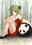  alternate_hairstyle bamboo bamboo_forest bread bun_cover china_dress chinese_clothes commentary_request double_bun dress food forest green_eyes green_hair gumi kuronyanko leg_hug nature on_ground panda short_hair sitting sleeveless vocaloid 