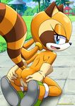  anus blue_eyes butt female gloves looking_back marine_the_raccoon mobius_unleashed nude open_mouth palcomix presenting presenting_hindquarters pussy sega shoes solo sonic_(series) young 