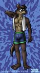  al_mackey brown brown_fur canine clothing dog fur male mammal shorts towel 