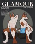 absurd_res anthro bottomwear brother_(lore) brothers_(lore) canid canine canis chair clothing cover domestic_dog duo furniture hi_res ibizan_hound magazine_cover magazine_title male mammal modelling ninesart on_chair partial_nudity pinup porn_star pose posing_for_picture primitive_dog primitive_hunting_dog sibling_(lore) sitting sitting_on_chair skirt speedo swimsuit_bulge swimwear twins_(lore)