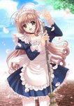 broom brown_hair cherry_blossoms copyright_request frills long_hair maid nishimata_aoi non-web_source open_mouth petals purple_eyes solo thighhighs waving 