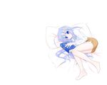  bed blue_eyes blush book book_of_the_azure_sky full_body hair_ornament looking_at_viewer lyrical_nanoha mahou_shoujo_lyrical_nanoha_strikers pillow reinforce_zwei short_hair silver_hair simple_background solo white_background x_hair_ornament 