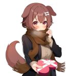  1girl alternate_costume animal_ears black_coat blush bone_hair_ornament box brown_cardigan brown_eyes brown_hair brown_scarf brown_tail cardigan cartoon_bone coat dog_ears dog_girl dog_tail gift giving hair_between_eyes hair_ornament hands_up heart-shaped_box highres holding holding_gift hololive inugami_korone looking_at_viewer open_mouth scarf scarf_pull solo tail takumin_dx upper_body white_background 