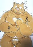 2024 absurd_res anthro balls belly big_belly brown_body brown_fur flaccid fur genitals hi_res japanese_text kemono male mammal moobs nipples overweight overweight_male penis pubes simple_background solo suid suina suishou0602 surprise sus_(pig) text wild_boar