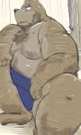 2024 3:5 anthro asian_clothing bear beard belly brown_body brown_fur clothing dain_4201 east_asian_clothing facial_hair fur hi_res japanese_clothing kemono male mammal mawashi moobs nipples overweight overweight_male solo sumo